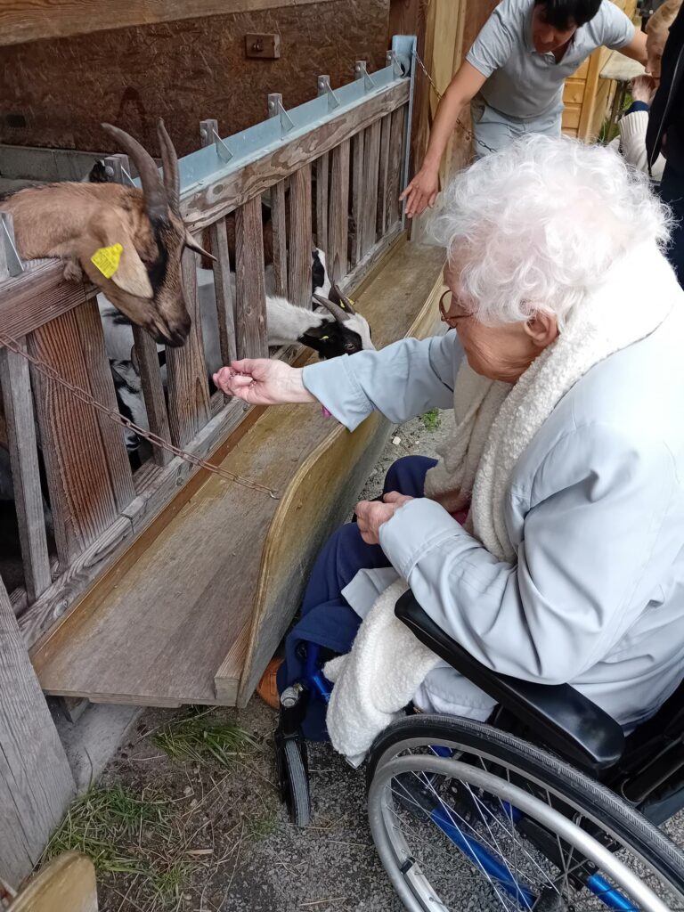 Ferme pédagogique de Martignas-sur-Jalle - Visite EHPAD 2025